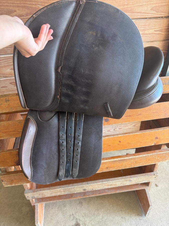 COLLEGIATE Collegiate jumping saddle (4)