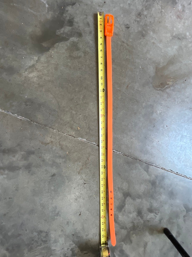 C4 Orange belt