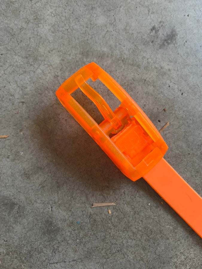 C4 Orange belt