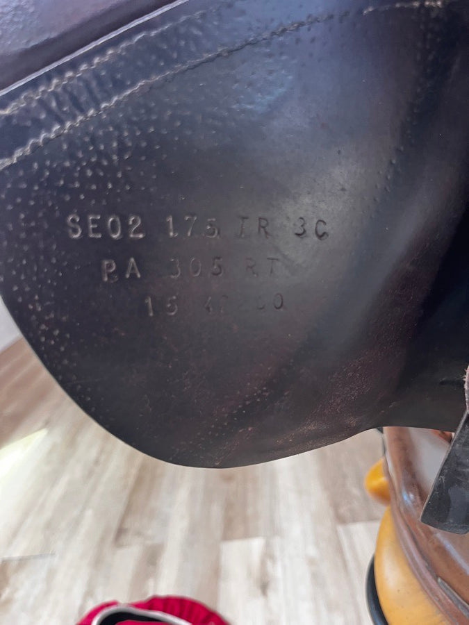 CWD Amazing CWD for sale (7)