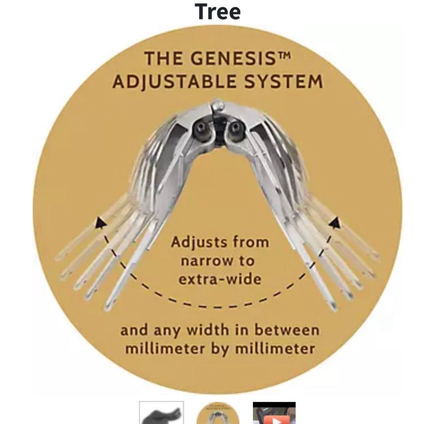 M. Toulouse Annice with Genesis Tree