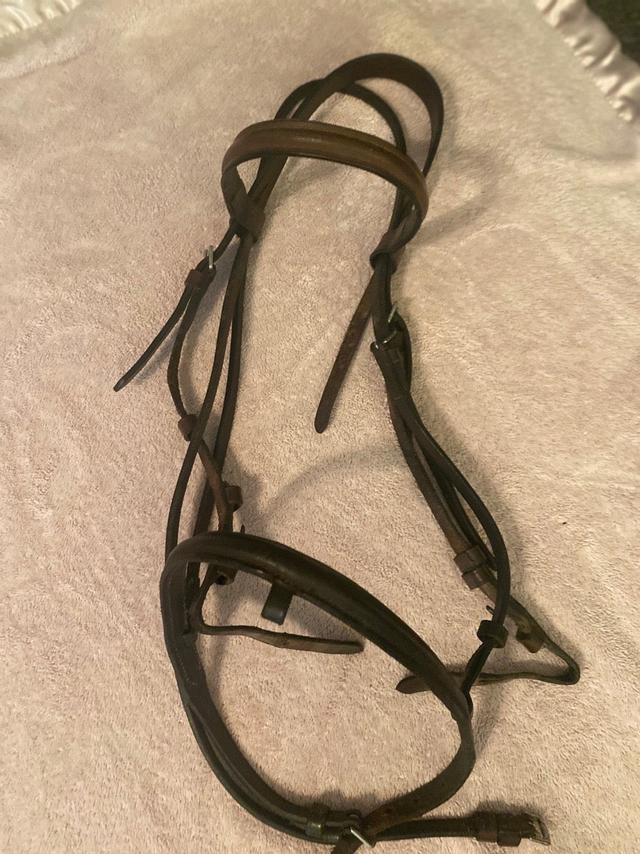 Bridle with Flash