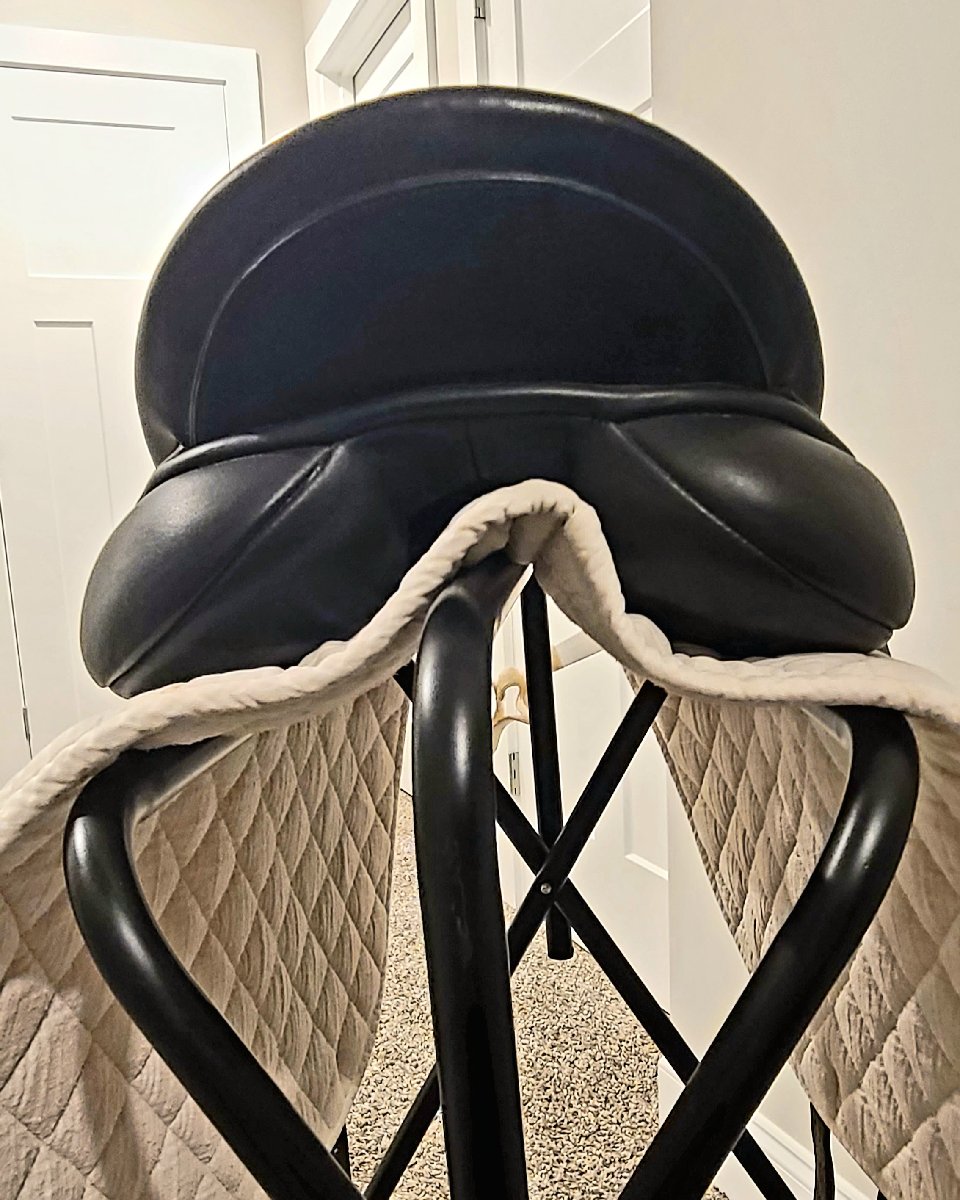 KLIMKE Klimke Dressage Saddle (3)