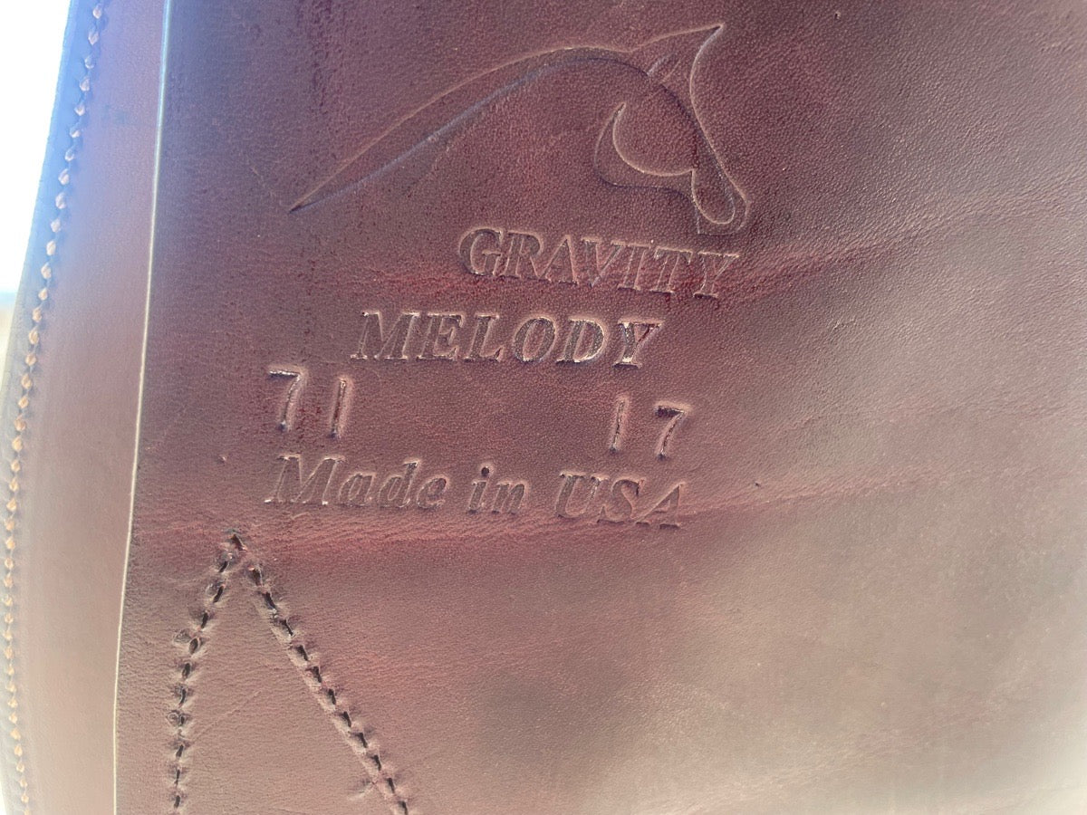 Other Gravity Melody Saddle (7)