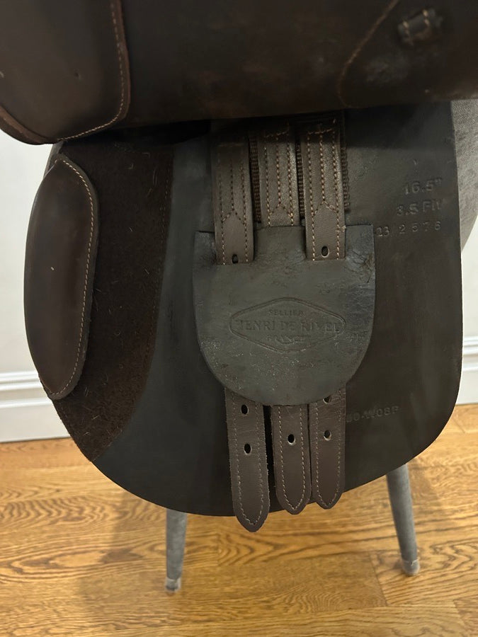 16.5” HDR saddle- great condition, stirrups included