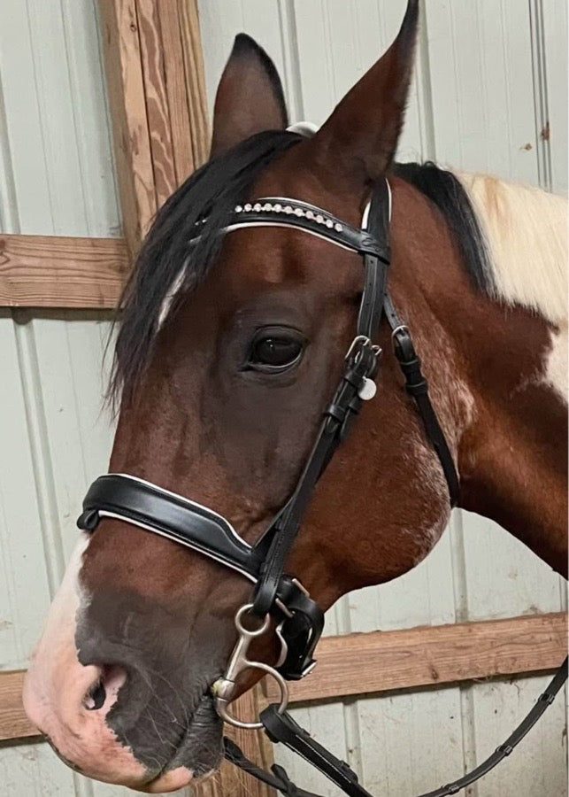 EXION Exionpro dressage bridle