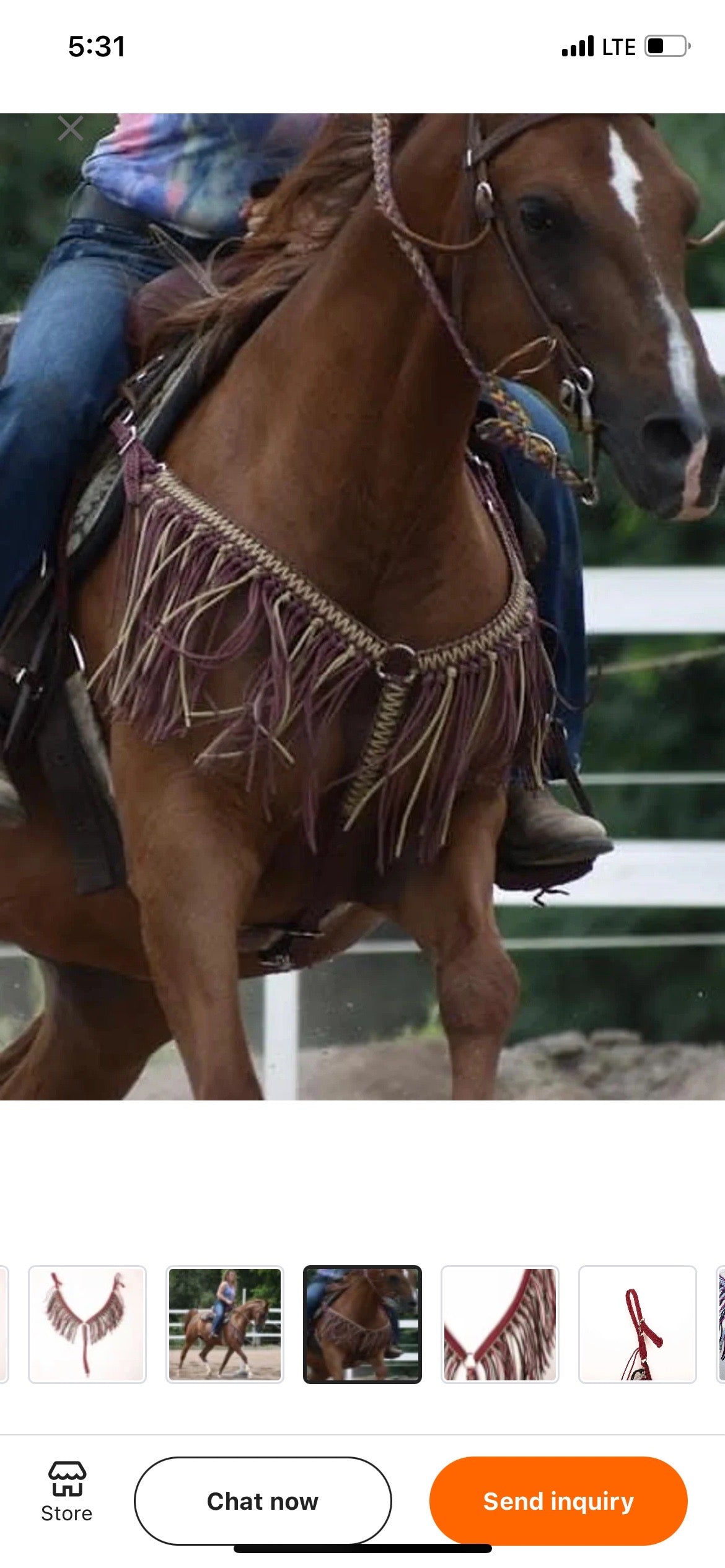 Custom Braided Paracord fringe horse breast collar with matching reins