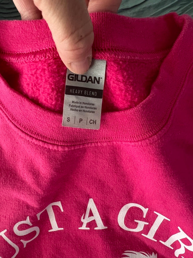 Horse sweat shirt (girls size small)