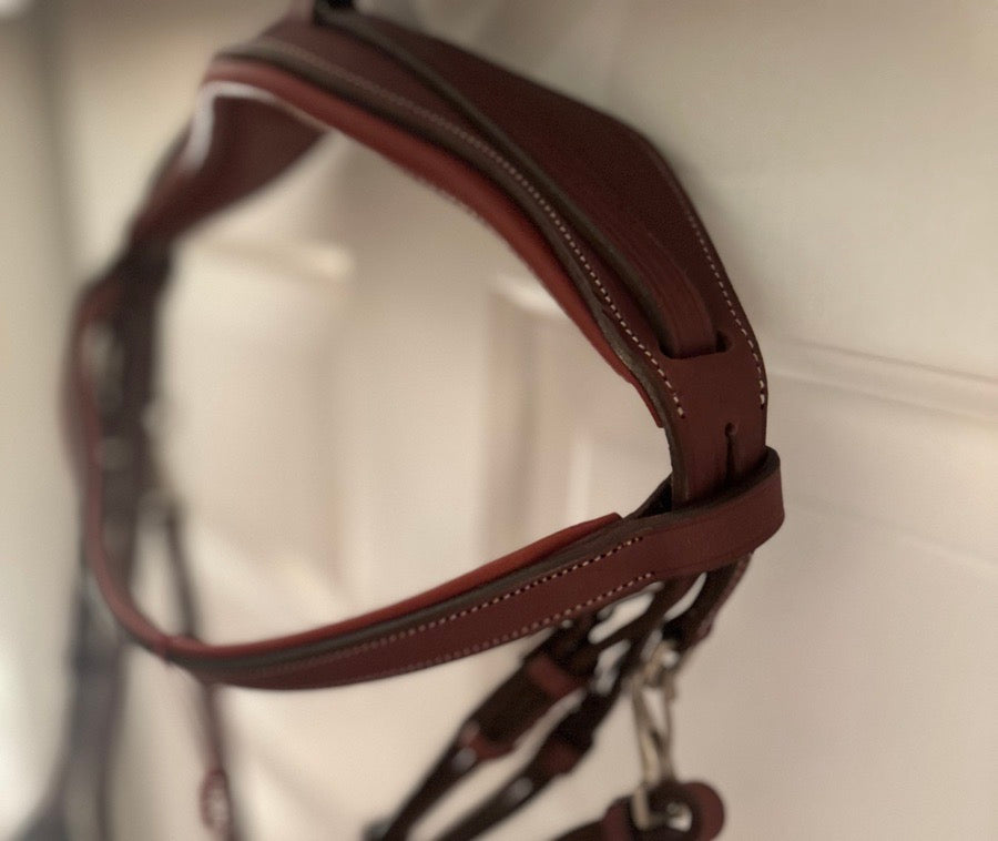 CWD French noseband training bridle