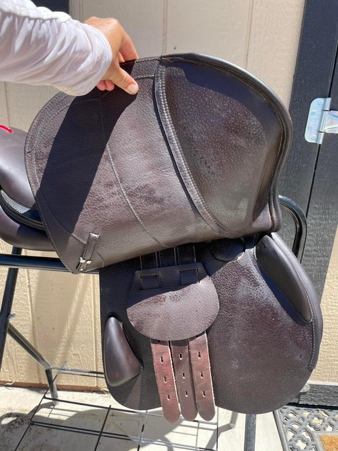 17” Equipe Da Vinci Special