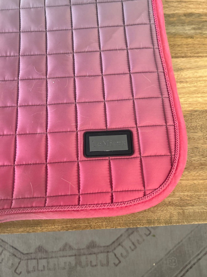 LEMIEUX Lemiuxe discontinued watermelon spectrum (3)