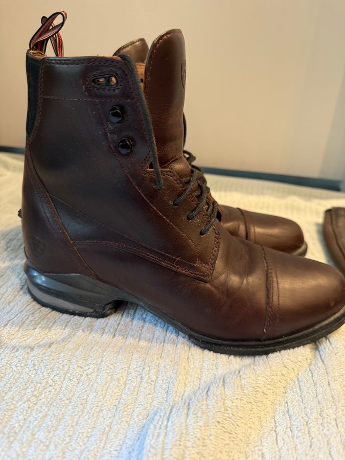 ARIAT Paddock boots and half chaps (2)