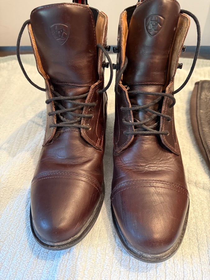 ARIAT Paddock boots and half chaps