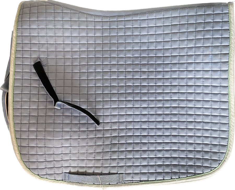 Other Light blue saddle pad