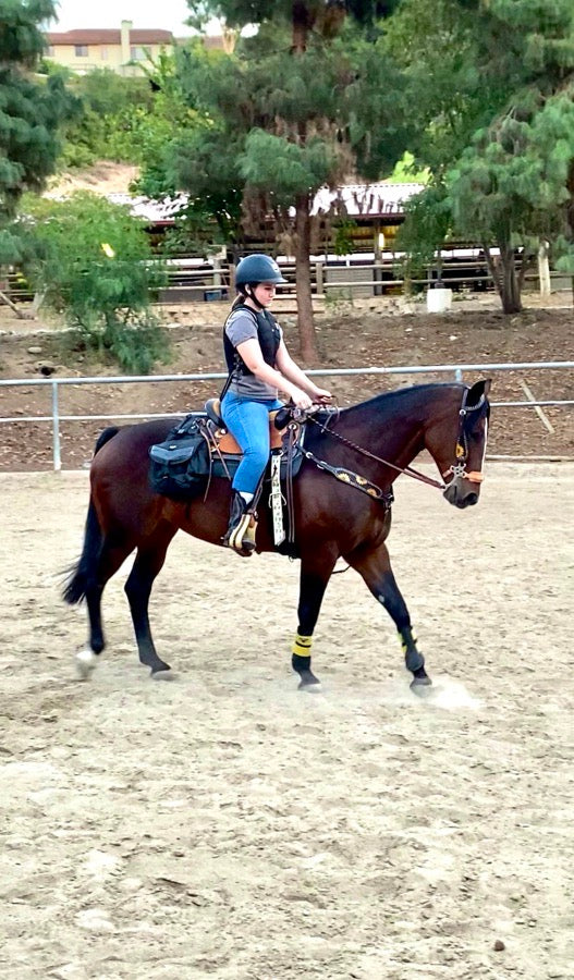 Lemieux Brushing Boots - Yellow