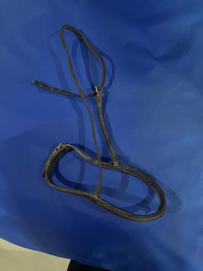Nose band #1