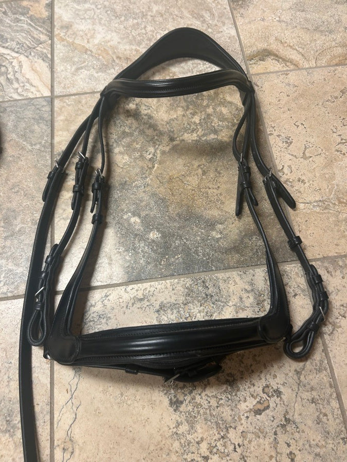 Other Wellfleet bridle (3)