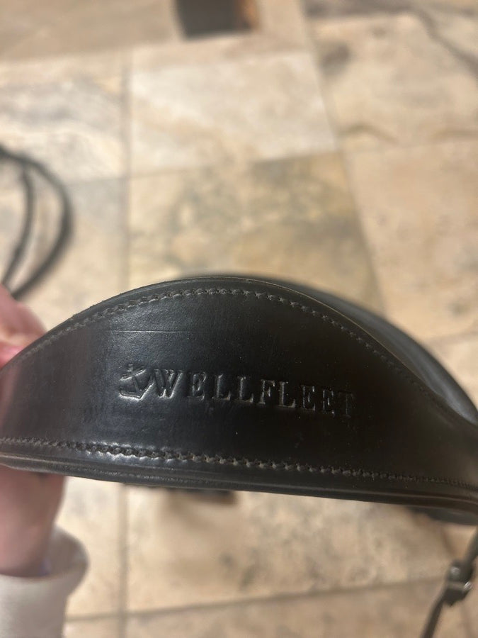 Other Wellfleet bridle (2)