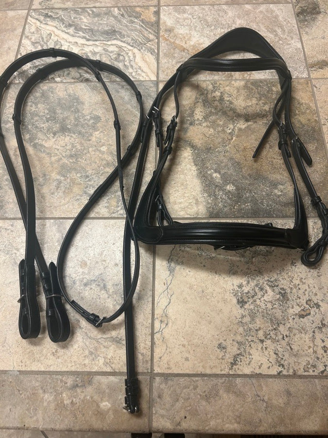Other Wellfleet bridle
