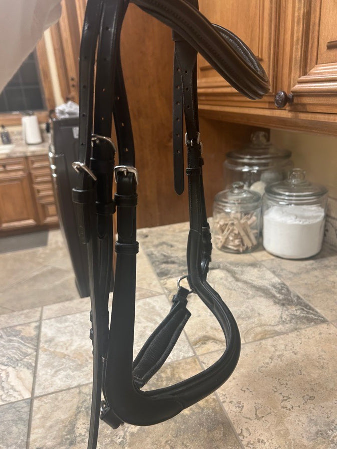 Other Wellfleet bridle (4)