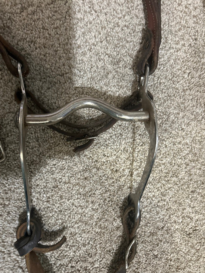 Western bridal with curb bit