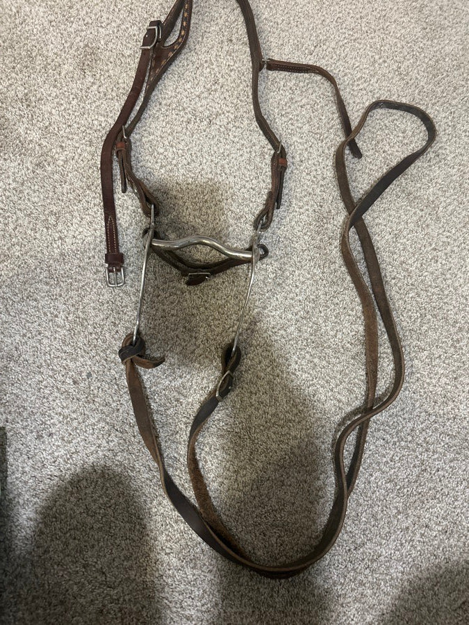 Western bridal with curb bit