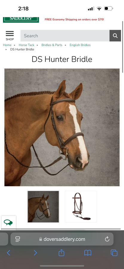 Hunter Bridle