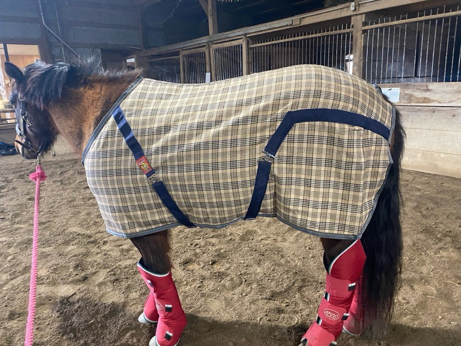 Baker Stable Sheet