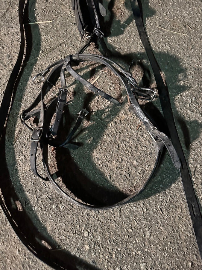 Leather & Biothane Mini Horse Harness
