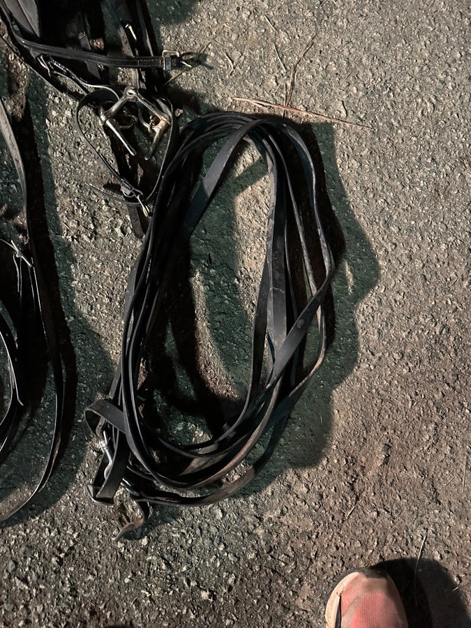 Leather & Biothane Mini Horse Harness