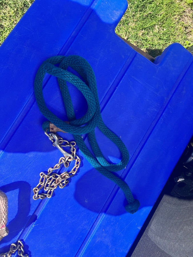 Lead ropes with chain