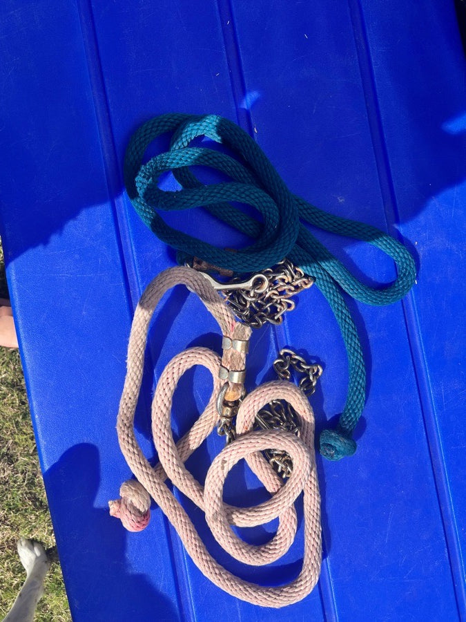 Lead ropes with chain