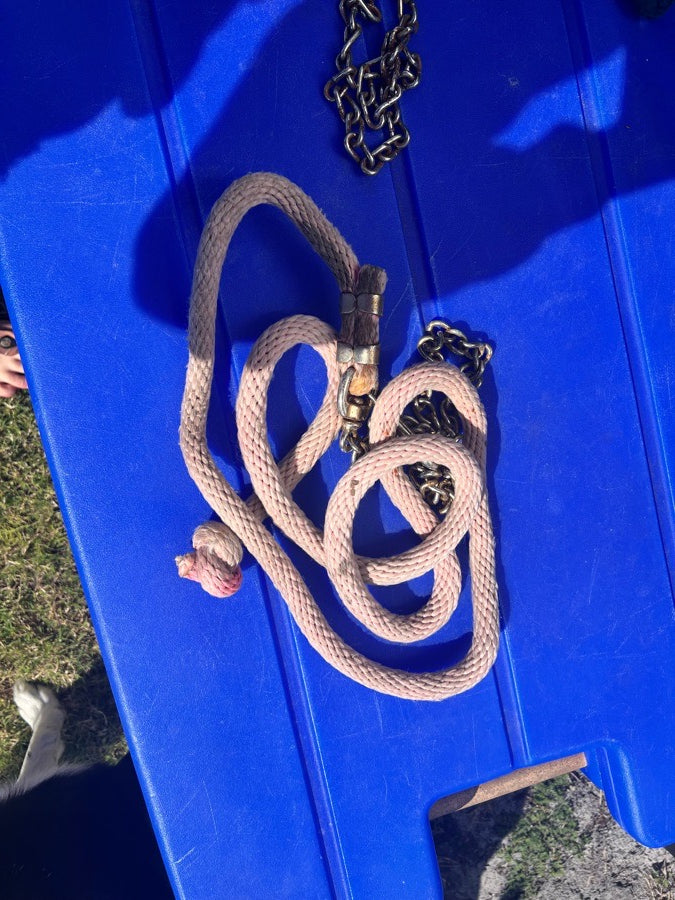 Lead ropes with chain