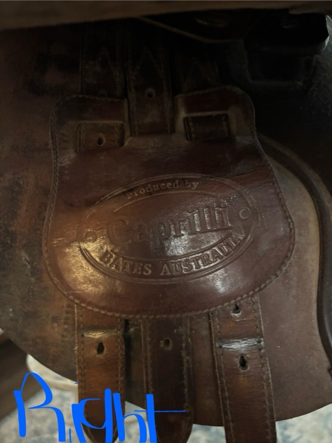 BATES Bates saddle (8)