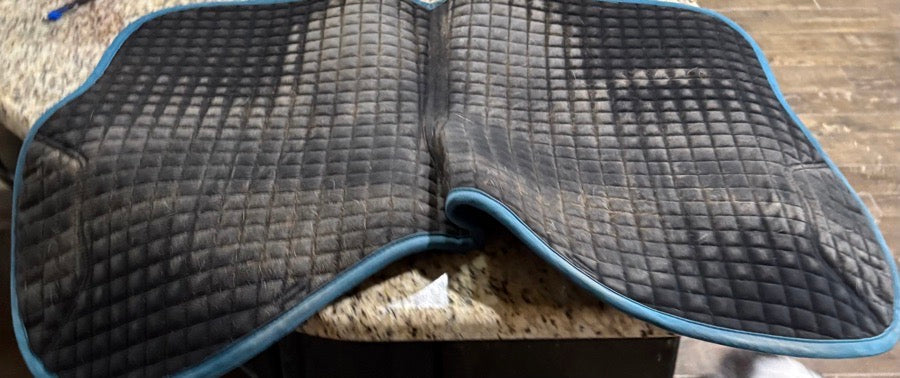 LEMIEUX Lemieux Marine Saddle Pad (3)