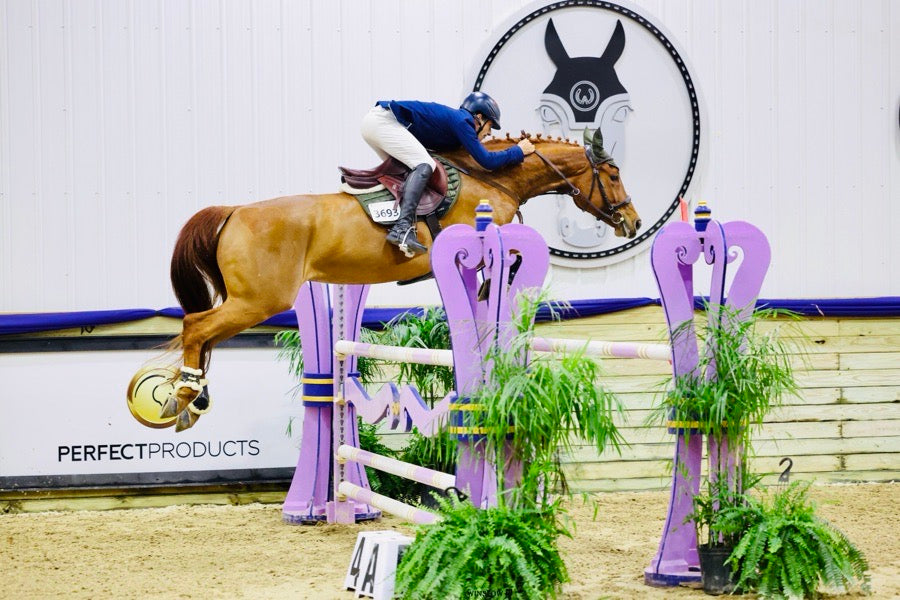 Winner Jumper  Mare 🥇