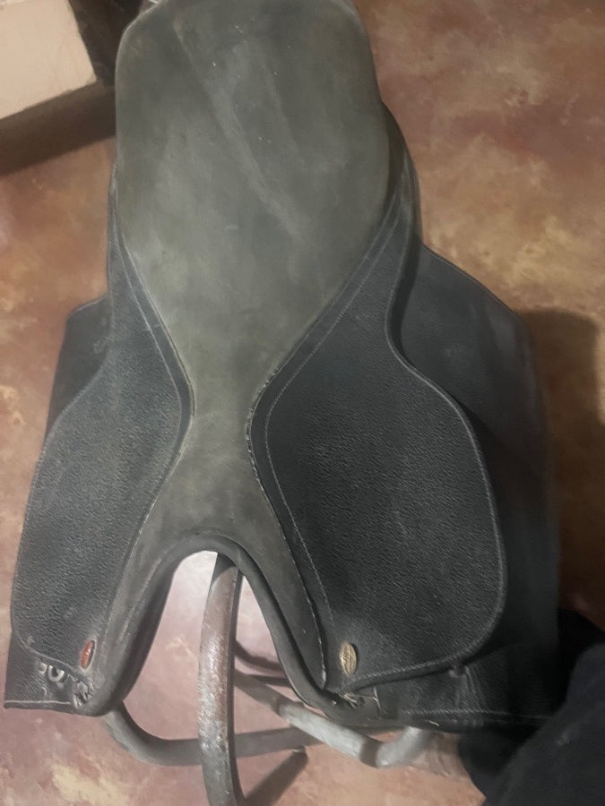 TSI Stallion Saddleseat/All Purpose