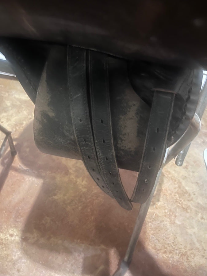 TSI Stallion Saddleseat/All Purpose