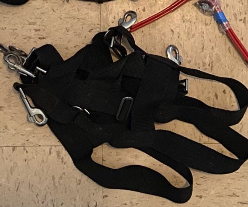 Black Stall Guard