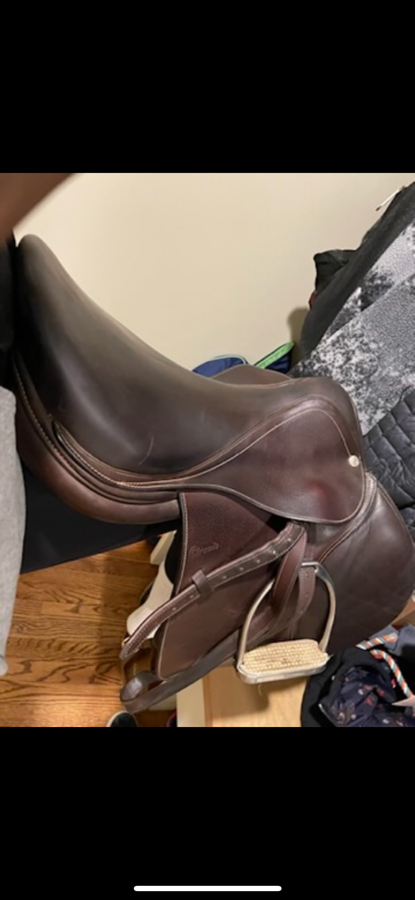Dover Citcuit saddle