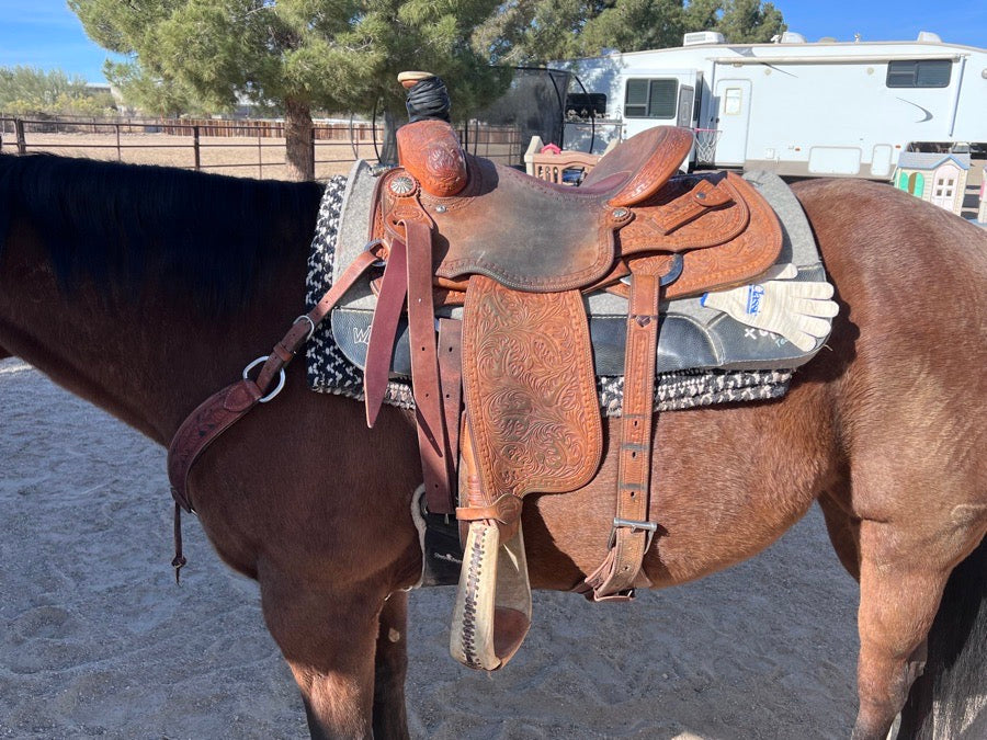 Other Frontier 10x Roper Saddle (4)