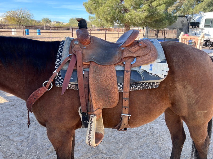Other Frontier 10x Roper Saddle (2)