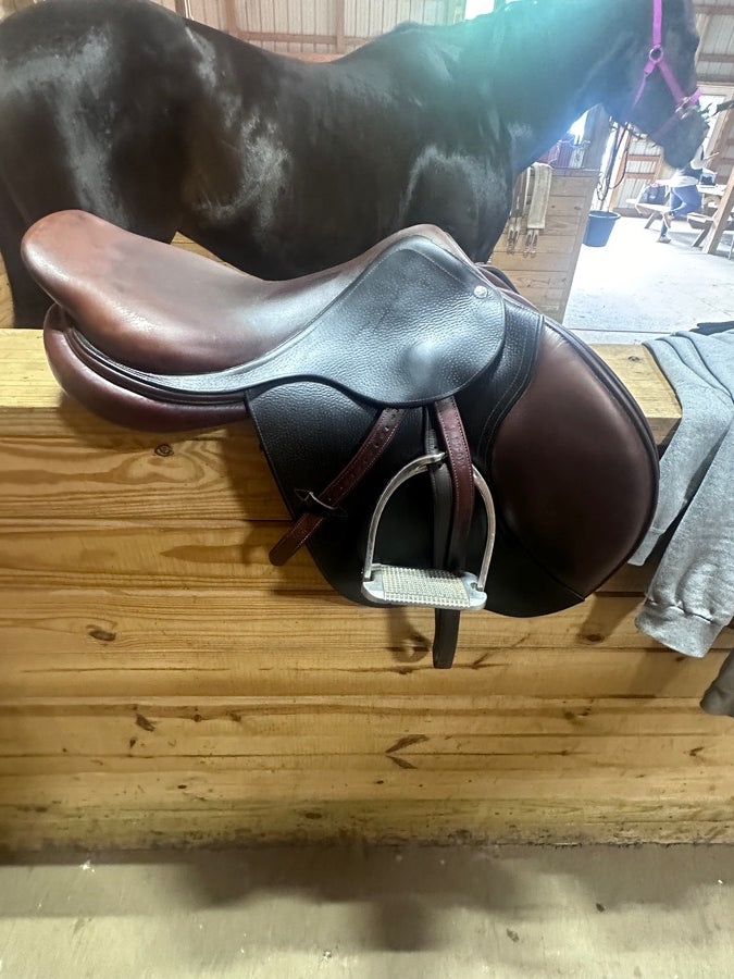CWD saddle