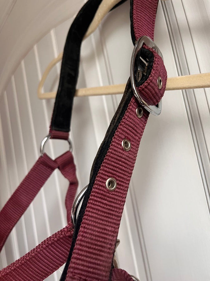 Dover Halter