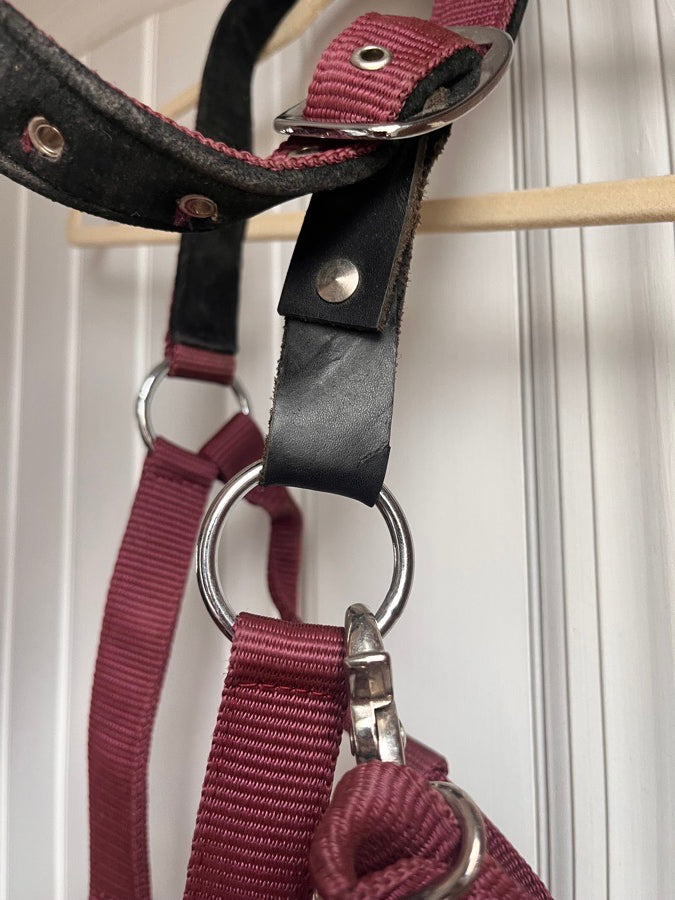 Dover Halter