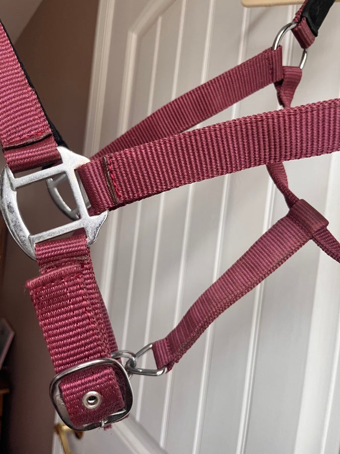 Dover Halter