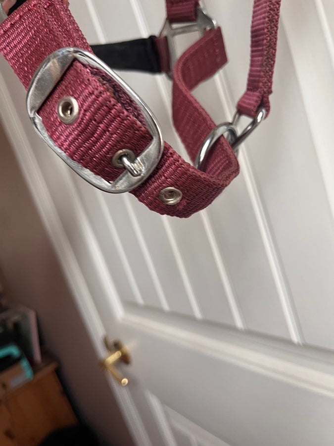Dover Halter