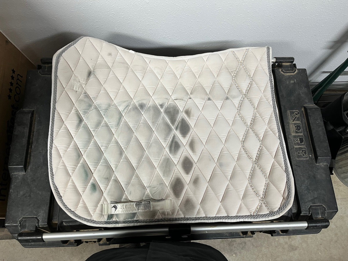 Other Fortis et Liber Dressage Pad