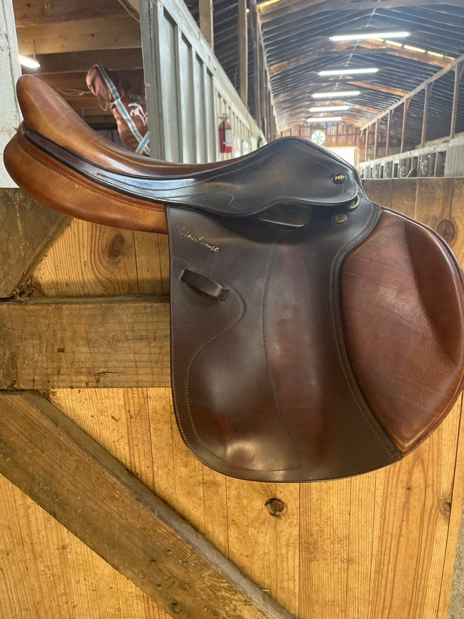M. Toulouse Saddle