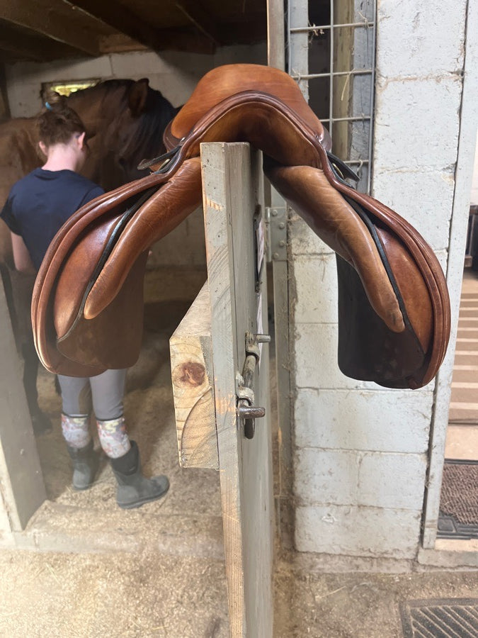 M. Toulouse Saddle